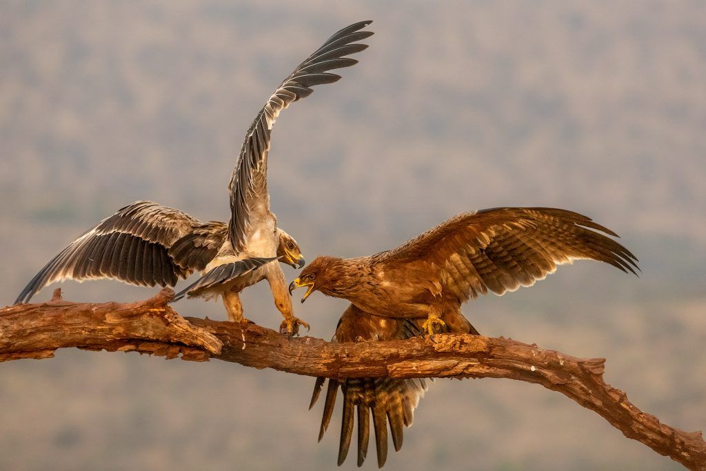 Landscape Photo Tour