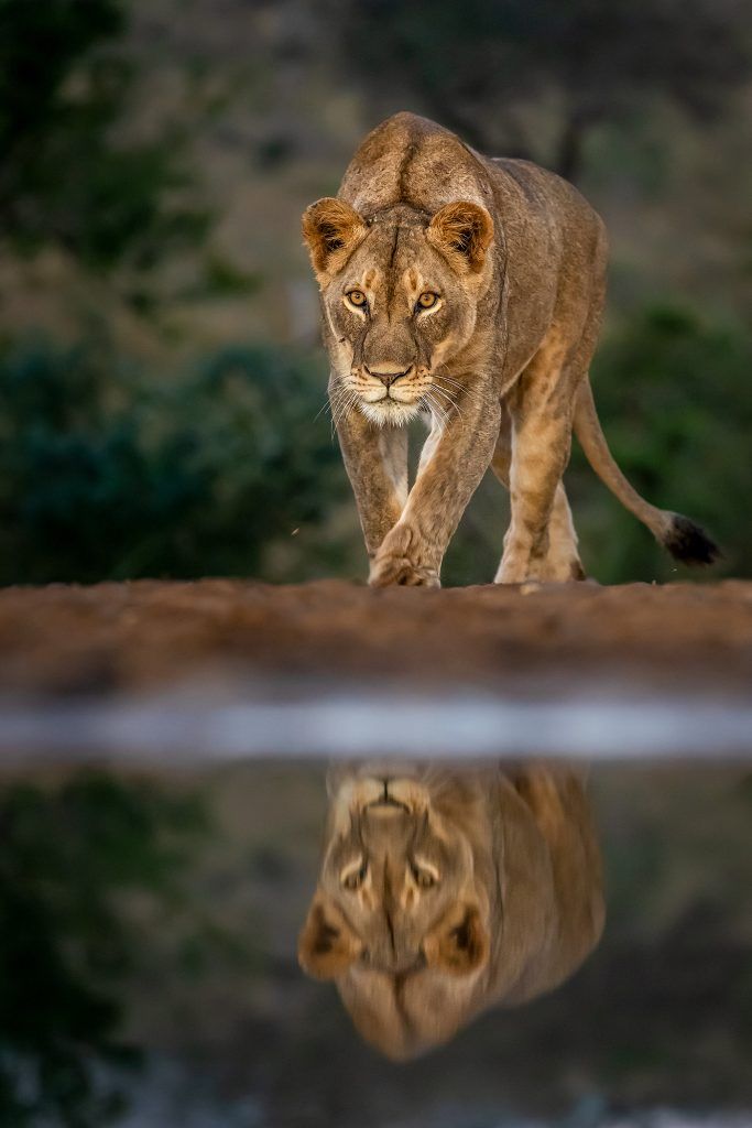 Photographer in Nature